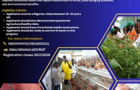 Call for Applications: HealthyDiets4Africa (HD4A) – Cohort 4